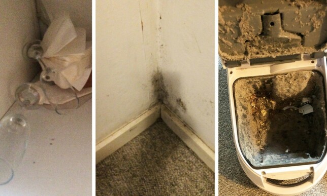 SKITTENT: Feriehuset hadde skitt opp etter veggene, et klissete gulv, en full støvsuger uten nye støvsugerposer og brukte glass. Foto: Privat SKITTENT: Feriehuset hadde skitt opp etter veggene, et klissete gulv, en full støvsuger uten nye støvsugerposer og brukte glass. Foto: Privat