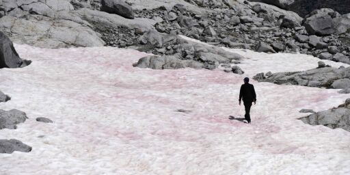 image: Rosa snø i Alpene