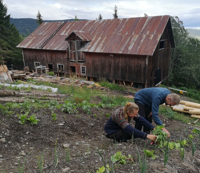MYE JOBB: Det er mye å jobbe med på den falleferdige gården, men det er enklere når man er to. FOTO: Privat MYE JOBB: Det er mye å jobbe med på den falleferdige gården, men det er enklere når man er to. FOTO: Privat