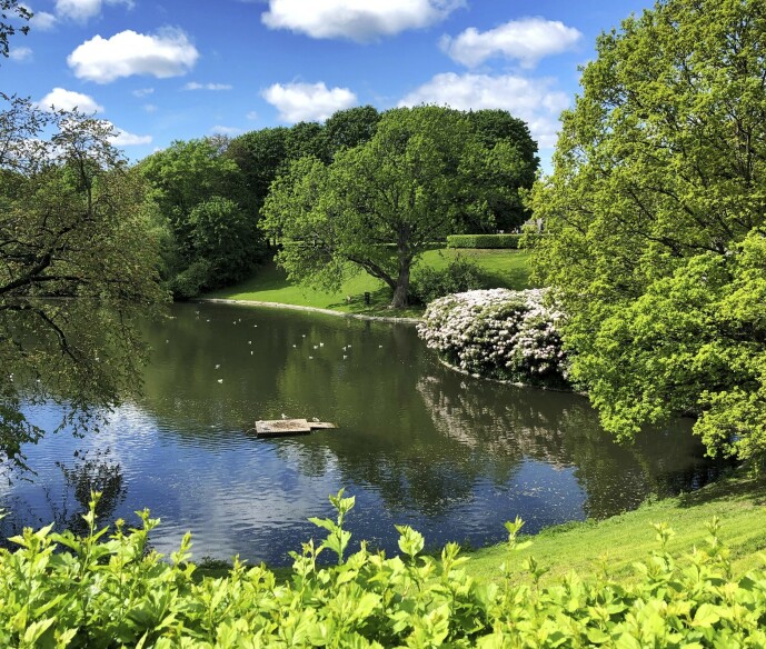 IDYLLISK: Frognerparken byr på et herlig pusterom. FOTO: Erik Valebrokk IDYLLISK: Frognerparken byr på et herlig pusterom. FOTO: Erik Valebrokk