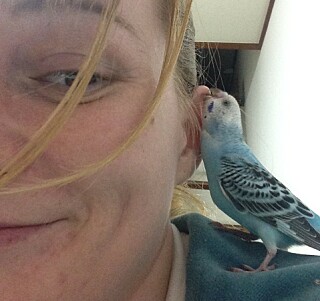 TERAPI: Ingrid Martinussen beskriver forholdet til undulaten Hayato som noe helt spesielt. - Hun er den beste terapien for meg, sier Ingrid Martinussen. Foto: Privat TERAPI: Ingrid Martinussen beskriver forholdet til undulaten Hayato som noe helt spesielt. - Hun er den beste terapien for meg, sier Ingrid Martinussen. Foto: Privat