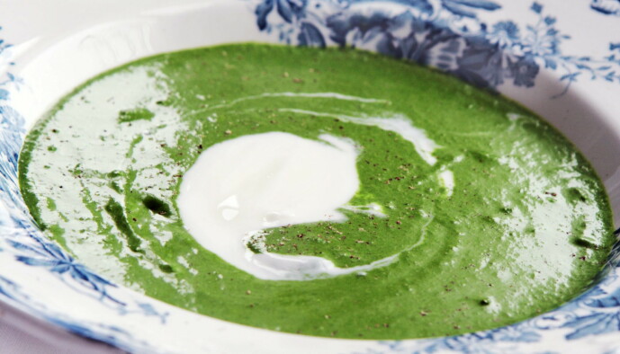 Brenneslesuppe kan lages av kun nesleblader, eller en blanding av nesle og spinat. Top gjerne med rømme, kokt egg eller bacon. Foto: Mette Randem/Dagbladet Brenneslesuppe kan lages av kun nesleblader, eller en blanding av nesle og spinat. Top gjerne med rømme, kokt egg eller bacon. Foto: Mette Randem/Dagbladet