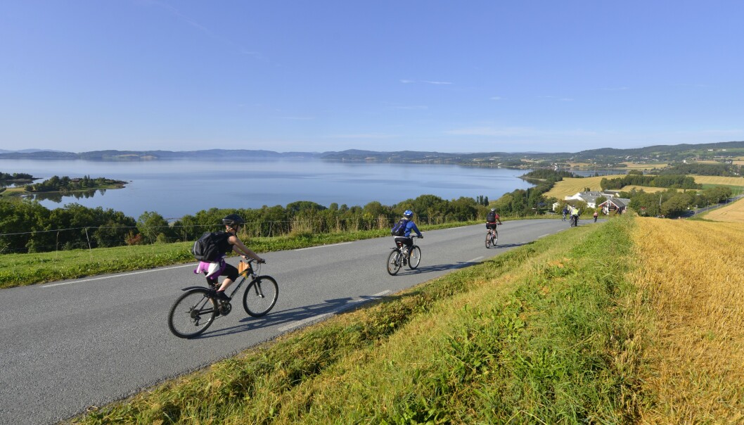 TRONDHEIMSFJORDEN: «Den Gyldne Omvei» er en serie opplevelser på Inderøy. FOTO: Gjermun Glesnes TRONDHEIMSFJORDEN: «Den Gyldne Omvei» er en serie opplevelser på Inderøy. FOTO: Gjermun Glesnes