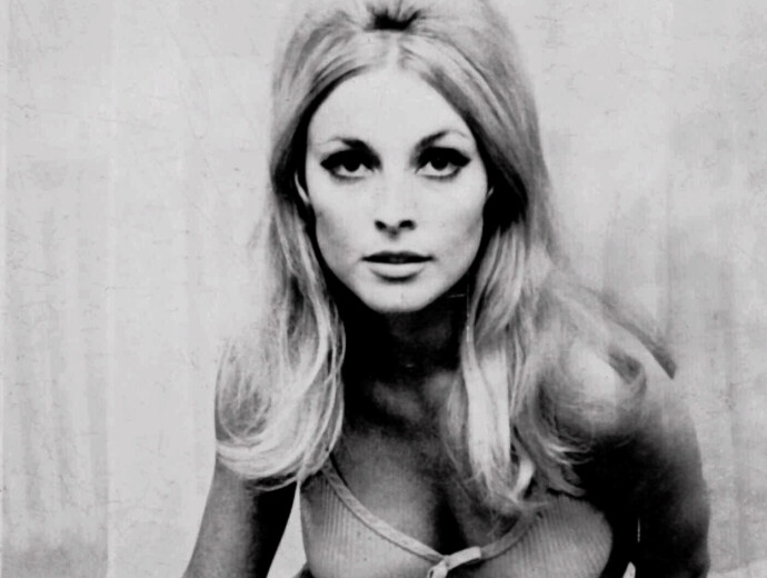 Sharon Tate. FOTO: Scanpix Sharon Tate. FOTO: Scanpix
