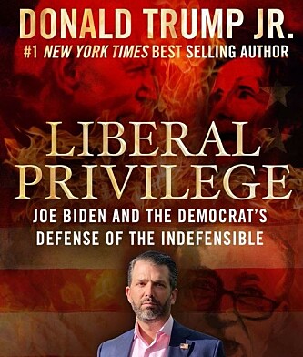 SKRIVEFEIL: Mener Donald Trump Jr. én eller flere demokrater? Skjermdump: Twitter. SKRIVEFEIL: Mener Donald Trump Jr. én eller flere demokrater? Skjermdump: Twitter.