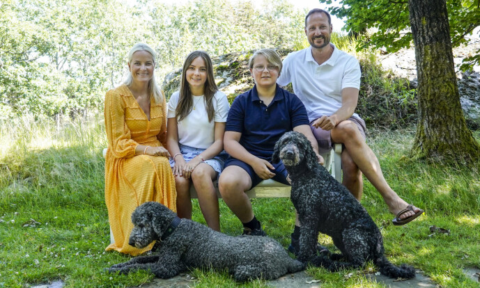 PÅ SOMMERSTEDET: Hundene var selvfølgelig en del av den kongelige fotograferingen. Foto: NTB Scanpix / Lise Åserud PÅ SOMMERSTEDET: Hundene var selvfølgelig en del av den kongelige fotograferingen. Foto: NTB Scanpix / Lise Åserud