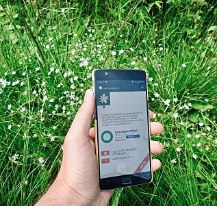 Ny app lar deg sjekke norske dyre- og blomsterarter Ny app lar deg sjekke norske dyre- og blomsterarter