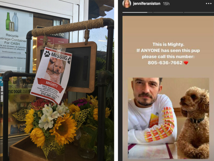 OPPFORDRING: Skuespiller Jennifer Aniston har brukt Instagram-profilen sin til å hjelpe Orlando Bloom i søket etter hunden. Han har selv gått rundt i gatene og hengt opp lapper med bilder av lille Mighty. FOTO: NTB scanpix og skjermdump Instagram OPPFORDRING: Skuespiller Jennifer Aniston har brukt Instagram-profilen sin til å hjelpe Orlando Bloom i søket etter hunden. Han har selv gått rundt i gatene og hengt opp lapper med bilder av lille Mighty. FOTO: NTB scanpix og skjermdump Instagram