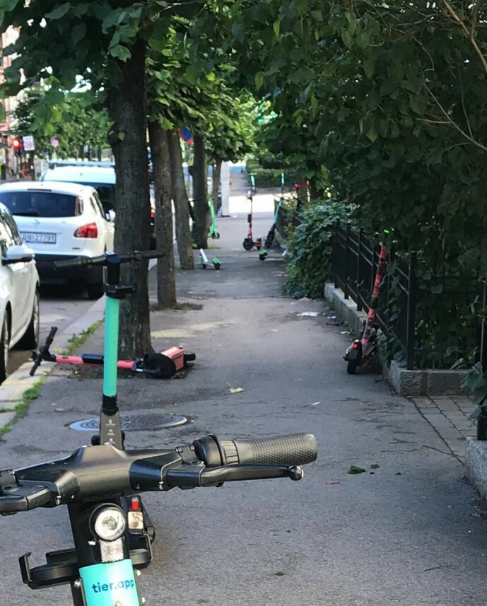 <strong>REAGERER:</strong> Dette synet møtte Andreassen torsdag morgen. Hun mener at folk må skjerpe seg. Foto. Privat <strong>REAGERER:</strong> Dette synet møtte Andreassen torsdag morgen. Hun mener at folk må skjerpe seg. Foto. Privat