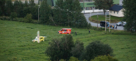 Landet i høyspentledning: - Voldsomt lysglimt Landet i høyspentledning: - Voldsomt lysglimt