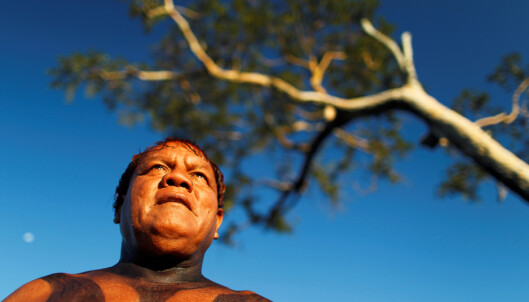 SMITTET: Onsdag ble Aritana Yawalapiti, som leder en gruppe urfolk i Øvre Xingu, lagt inn på sykehus med symptomer på covid-19. Foto: Ueslei Marcelino / Reuters / NTB Scanpix SMITTET: Onsdag ble Aritana Yawalapiti, som leder en gruppe urfolk i Øvre Xingu, lagt inn på sykehus med symptomer på covid-19. Foto: Ueslei Marcelino / Reuters / NTB Scanpix