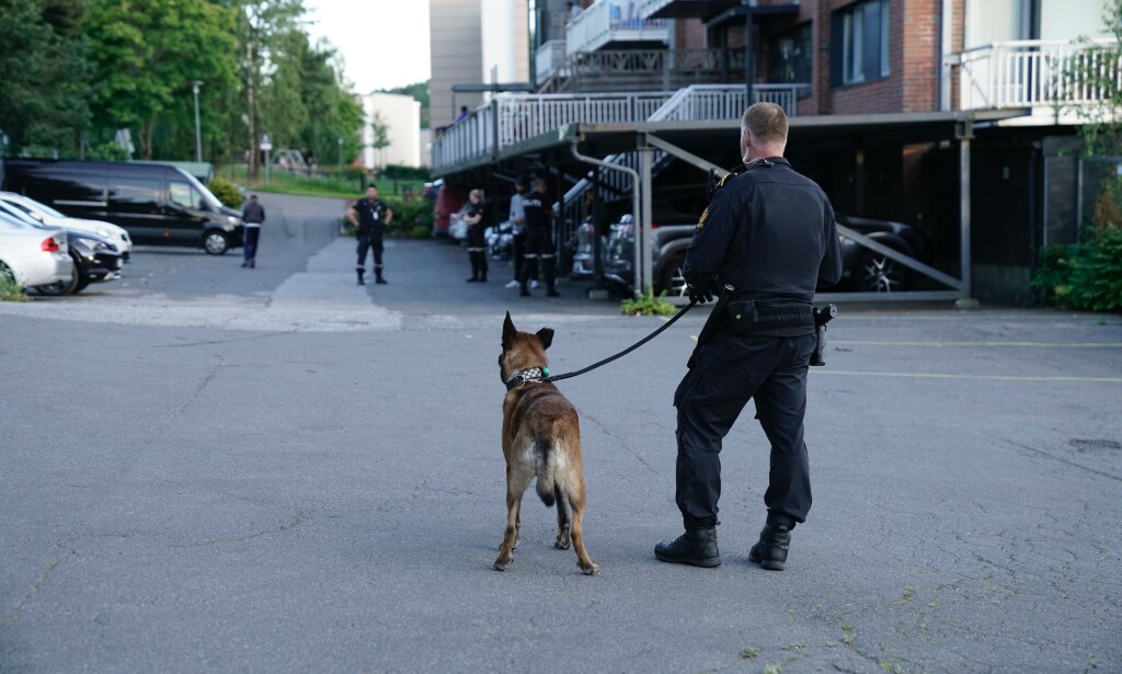 LUDVIG: Politihunden Ludvig deltok i aksjonen. Foto: Øistein Norum Monsen / Dagbladet LUDVIG: Politihunden Ludvig deltok i aksjonen. Foto: Øistein Norum Monsen / Dagbladet