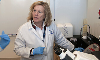 DISKREDITERT: Forskeren Judy Mikovits fremmer en særdeles ubegrunnet konspirasjonsteori mot Anthony Fauci. Foto: David Calvert for AP Images, File DISKREDITERT: Forskeren Judy Mikovits fremmer en særdeles ubegrunnet konspirasjonsteori mot Anthony Fauci. Foto: David Calvert for AP Images, File