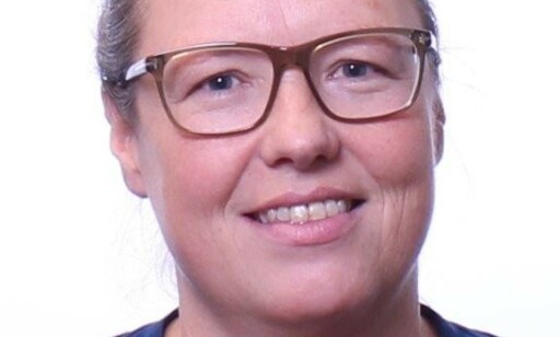 Brita Bjørkelo, professor, Politihøgskolen Brita Bjørkelo, professor, Politihøgskolen