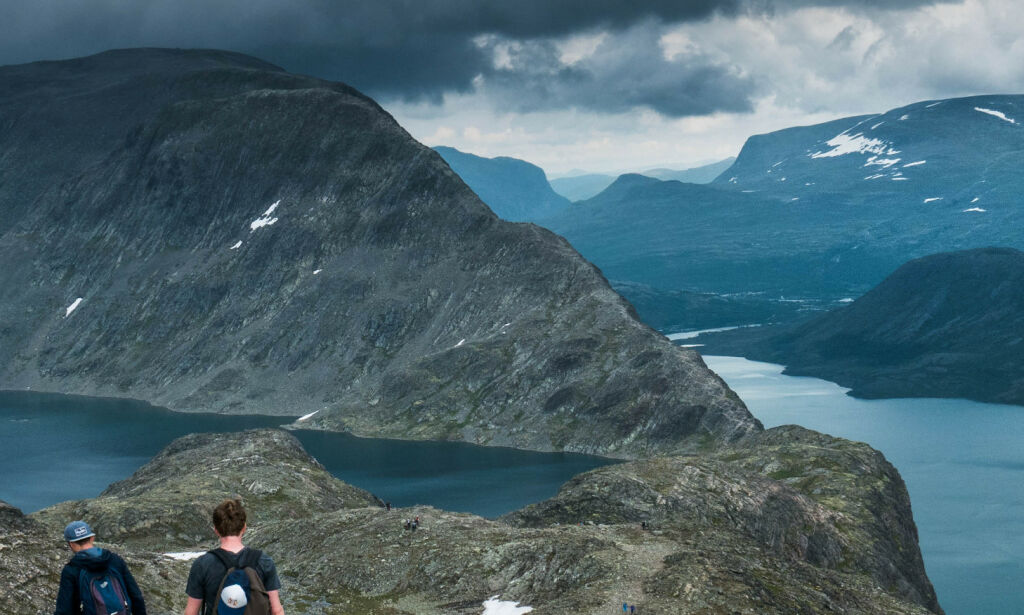 image: Refser «snusere»: - Forbanna drit