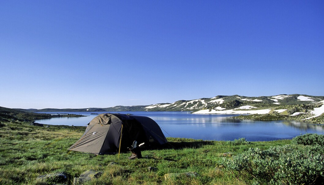 Foto: Anders Gjengedal / Visit Norway Foto: Anders Gjengedal / Visit Norway