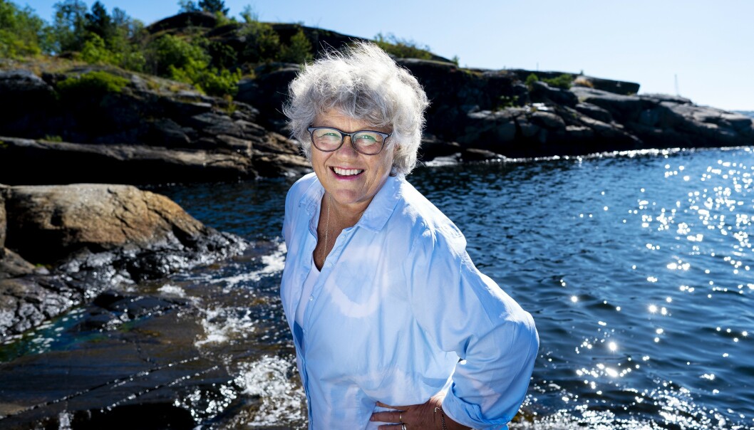 - KOLLAPS: Forfatter og tidligere Ap-statråd Anne Holt skriver på Twitter at Støres kommentarer er «totalkollaps». Foto: John T. Pedersen / Dagbladet - KOLLAPS: Forfatter og tidligere Ap-statråd Anne Holt skriver på Twitter at Støres kommentarer er «totalkollaps». Foto: John T. Pedersen / Dagbladet