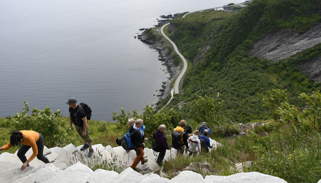 <strong>STORINNRYKK:</strong> Mange hundre turister går daglig opp det populære fjellet Reinebringen i Lofoten. Foto: Rune Stoltz Bertinussen / NTB Scanpix <strong>STORINNRYKK:</strong> Mange hundre turister går daglig opp det populære fjellet Reinebringen i Lofoten. Foto: Rune Stoltz Bertinussen / NTB Scanpix