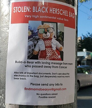 ETTERLYST: Mara har hengt opp plakater over store deler av Vancouver i håp om å få tilbake «Mamabear». Foto: Privat ETTERLYST: Mara har hengt opp plakater over store deler av Vancouver i håp om å få tilbake «Mamabear». Foto: Privat