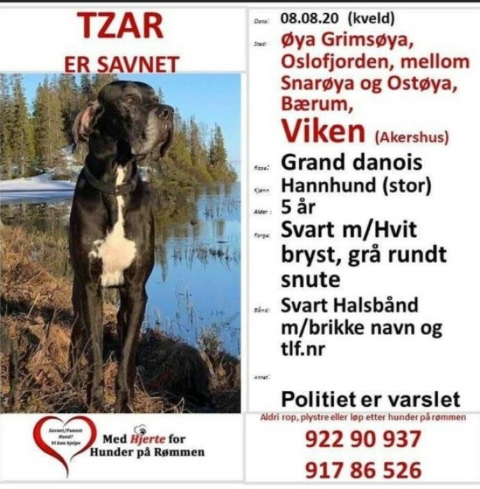<strong>BORTE:</strong> Kristin Andresen har delt følgende melding i sosiale medier. Foto: Skjermdump / Facebook @MedHjerteforHunderpåRømmen <strong>BORTE:</strong> Kristin Andresen har delt følgende melding i sosiale medier. Foto: Skjermdump / Facebook @MedHjerteforHunderpåRømmen
