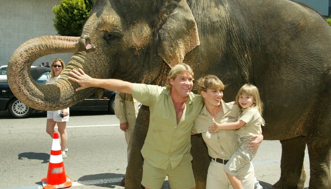 <strong>DYRELIVFAMILIE:</strong> Steve Irwin, kona Teri og dattera Bindi i 2002. Foto: NTB scanpix <strong>DYRELIVFAMILIE:</strong> Steve Irwin, kona Teri og dattera Bindi i 2002. Foto: NTB scanpix