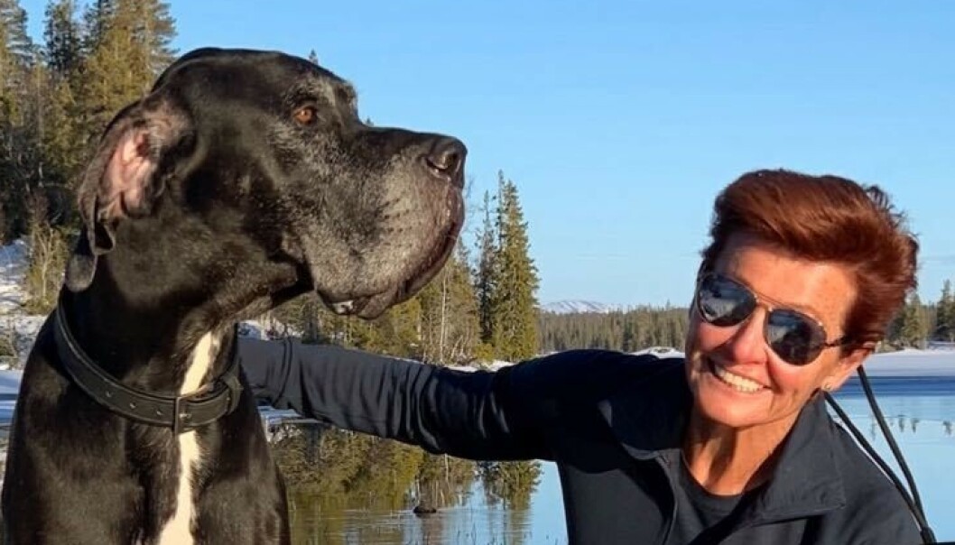 Milliardær-familiens hund funnet død Milliardær-familiens hund funnet død