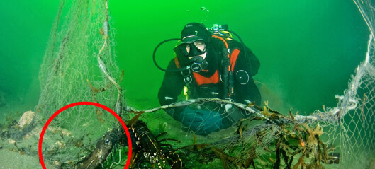 - Få ting som smerter mer - Få ting som smerter mer