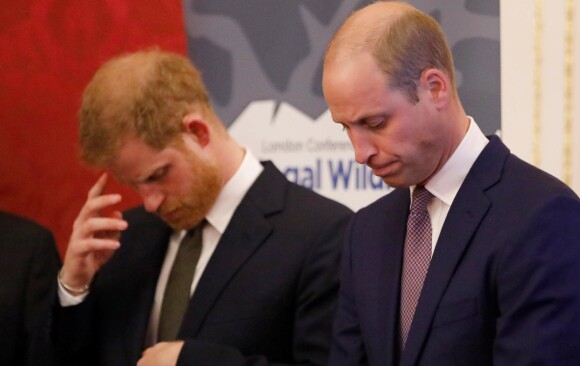 <strong>IKKE PÅ TALEFOT:</strong> Prins William skal ha blitt rasende på lillebroren, og ment at Harry og Meghan satte den britiske kongefamilien i et dårlig lys. Her er de avbildet i 2018. Foto: NTB Scanpix <strong>IKKE PÅ TALEFOT:</strong> Prins William skal ha blitt rasende på lillebroren, og ment at Harry og Meghan satte den britiske kongefamilien i et dårlig lys. Her er de avbildet i 2018. Foto: NTB Scanpix