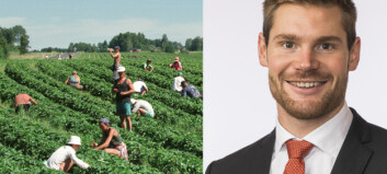 Frykter smitte fra sesongarbeiderne: - Ta grep Frykter smitte fra sesongarbeiderne: - Ta grep