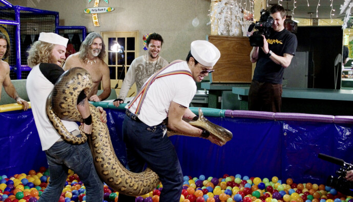 <strong>VILLE:</strong> Gutta fra «Jackass» er kjent for sine elleville stunts. Her med en gigantisk slange. Foto: NTB Scanpix <strong>VILLE:</strong> Gutta fra «Jackass» er kjent for sine elleville stunts. Her med en gigantisk slange. Foto: NTB Scanpix