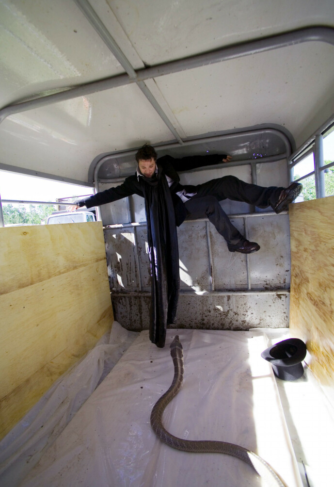 <strong>SLANGE:</strong> Gutta i «Jackass» har ikke vært fremmed for å leke seg med farlige dyr. Her er Bam Margera låst inn i en henger sammen med en slange. Foto: NTB Scanpix <strong>SLANGE:</strong> Gutta i «Jackass» har ikke vært fremmed for å leke seg med farlige dyr. Her er Bam Margera låst inn i en henger sammen med en slange. Foto: NTB Scanpix