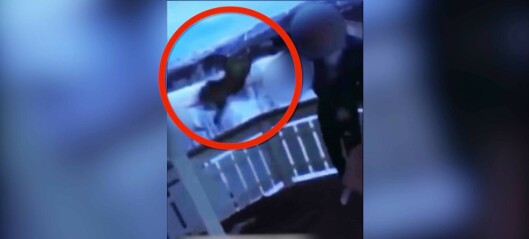 Kaster katt fra veranda Kaster katt fra veranda
