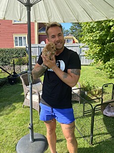 <strong>GLEDE:</strong> Jan Thomas forteller at Harlems kjærlighet for hunder gjorde at de nå får en valp sammen. Foto: Privat <strong>GLEDE:</strong> Jan Thomas forteller at Harlems kjærlighet for hunder gjorde at de nå får en valp sammen. Foto: Privat