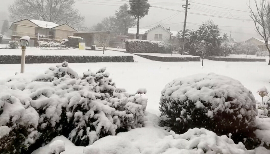 Snø i Australia Snø i Australia