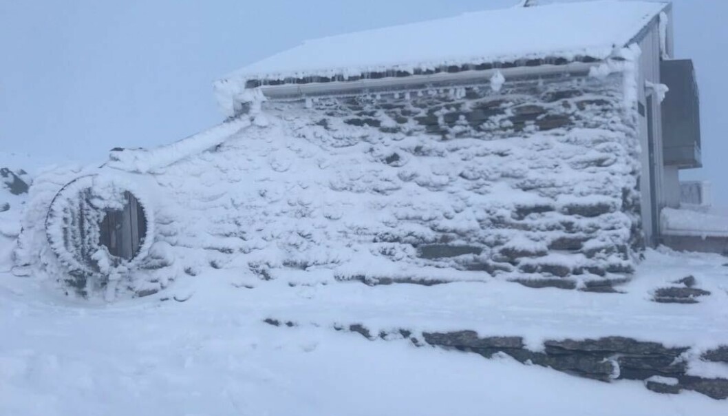 <strong>SNØMENGDER:</strong> Hyttevert Tveranger forteller at gjestene synes det er uvanlig med snø. Foto: Privat. <strong>SNØMENGDER:</strong> Hyttevert Tveranger forteller at gjestene synes det er uvanlig med snø. Foto: Privat.