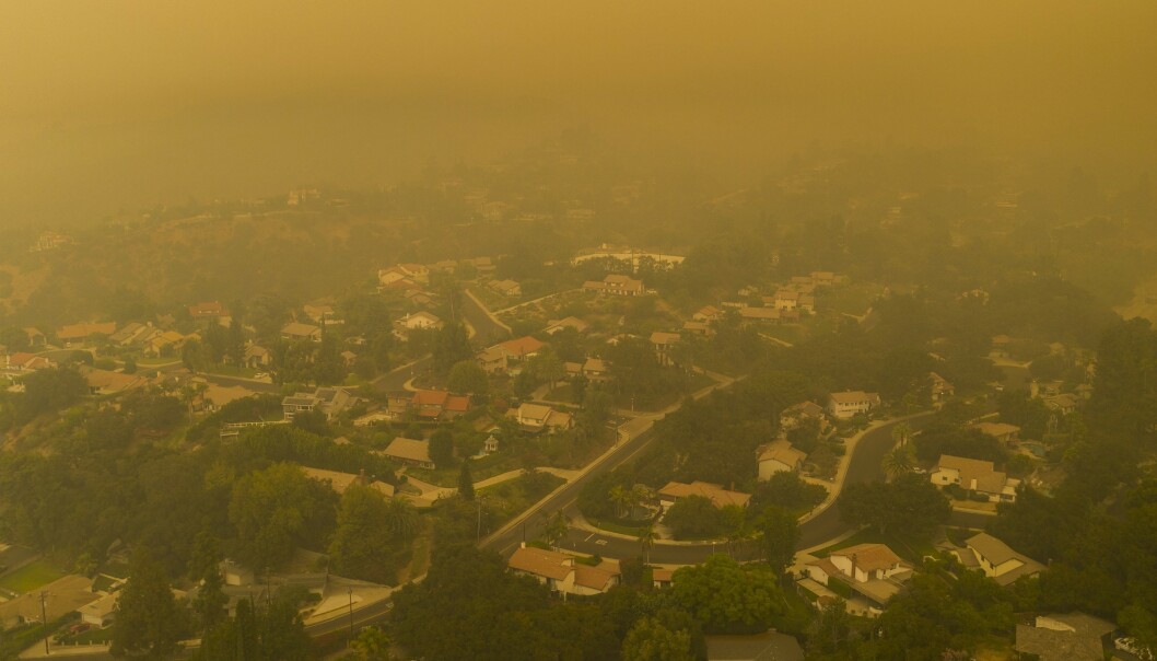 <strong>GUL HIMMEL:</strong> I California er himmelen gul etter brannene som har tatt over 20 menneskeliv. Foto: David McNew / AFP
/ NTB scanpix <strong>GUL HIMMEL:</strong> I California er himmelen gul etter brannene som har tatt over 20 menneskeliv. Foto: David McNew / AFP
/ NTB scanpix