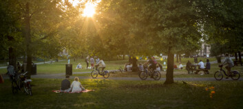 Grünerløkka-parkens hemmelighet: Døde overalt Grünerløkka-parkens hemmelighet: Døde overalt