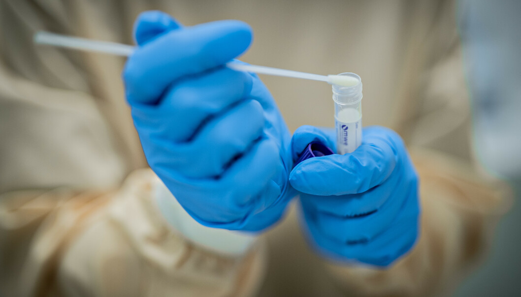 <strong>REKORD:</strong> I Norge utføres det omkring 80 000 tester i uka. Foto: Bjørn Langsem / Dagbladet <strong>REKORD:</strong> I Norge utføres det omkring 80 000 tester i uka. Foto: Bjørn Langsem / Dagbladet