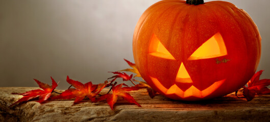 Derfor feirer vi halloween Derfor feirer vi halloween