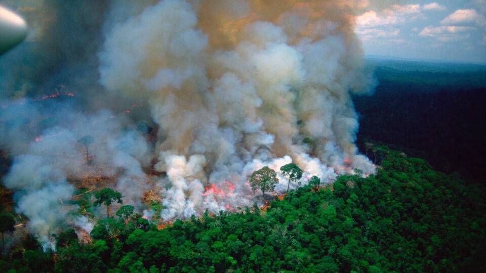 Nei, dette er ikke bilde av årets brann i Amazonas