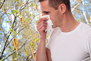 Pollenallergi symptomer hodepine