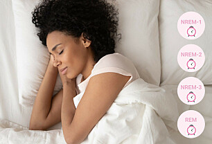Søvnfaser og normal søvn