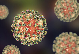 Hva er parainfluensa?