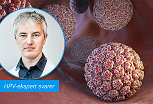 Hva er et humant papillomavirus (HPV)?