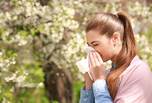 Når skal man ta allergivaksine mot pollen?