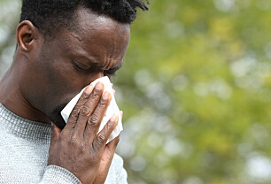 Kan voksne plutselig bli allergisk mot pollen?