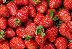 Allergi mot jordbær