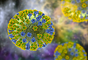 Hva er influensa A og B?