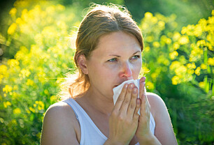 Når bør du starte med medisin mot pollenallergi?